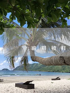 逾期被打详单报警怎么处理 逾期被打详单报警怎么处理