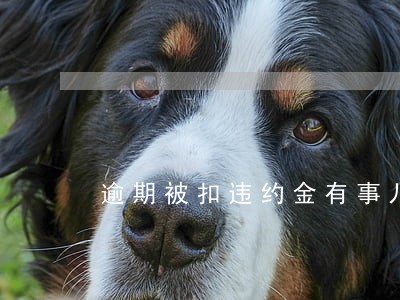 逾期被扣违约金有事儿吗 逾期被扣违约金有事儿吗