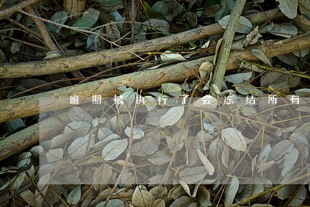 逾期被执行了会冻结所有银行卡么 逾期被执行了会冻结所有银行卡么