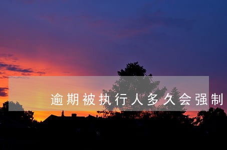 逾期被执行人多久会强制执行 逾期被执行人多久会强制执行