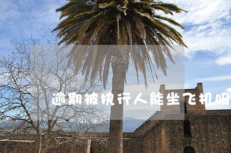 逾期被执行人能坐飞机吗 逾期被执行人能坐飞机吗