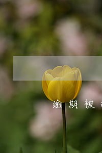 逾期被执行会影响家里人吗 逾期被执行会影响家里人吗