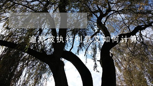 逾期被执行利息又如何计算 逾期被执行利息又如何计算