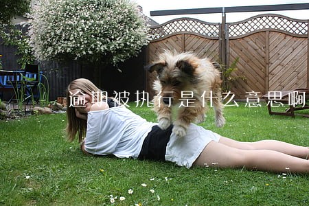 逾期被执行是什么意思啊 逾期被执行是什么意思啊