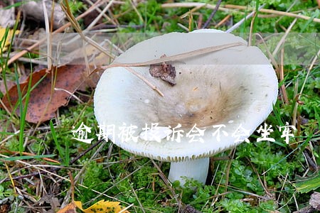 逾期被投诉会不会坐牢 逾期被投诉会不会坐牢