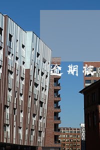 逾期被担保公司代偿了 逾期被担保公司代偿了