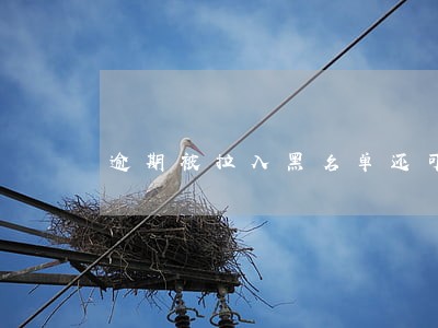 逾期被拉入黑名单还可以去澳门吗 逾期被拉入黑名单还可以去澳门吗