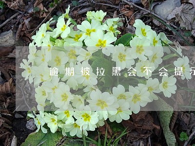 逾期被拉黑会不会提示 逾期被拉黑会不会提示