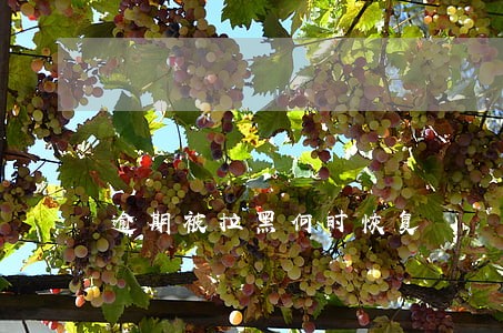 逾期被拉黑何时恢复 逾期被拉黑何时恢复