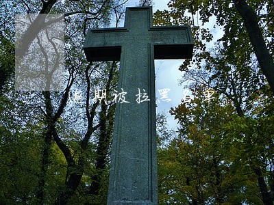 逾期被拉黑名单 逾期被拉黑名单