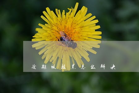 逾期被拉黑怎么解决