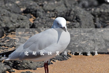 逾期被拉黑有什么后果 逾期被拉黑有什么后果
