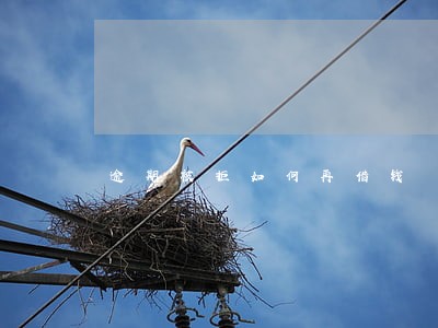 逾期被拒如何再借钱 逾期被拒如何再借钱
