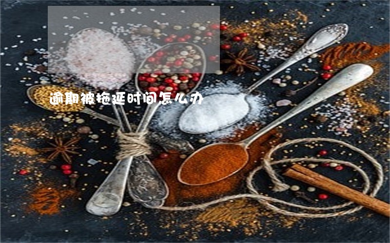 逾期被拖延时间怎么办 逾期被拖延时间怎么办