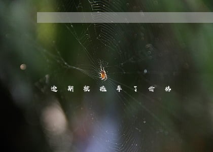 逾期被拖车了价格 逾期被拖车了价格
