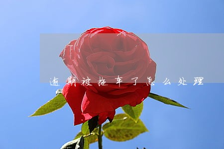 逾期被拖车了怎么处理 逾期被拖车了怎么处理