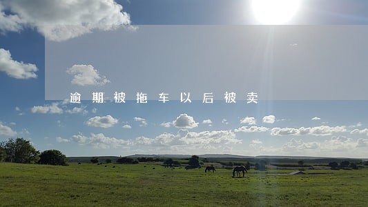 逾期被拖车以后被卖 逾期被拖车以后被卖