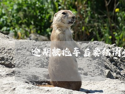 逾期被拖车后要结清全款吗 逾期被拖车后要结清全款吗