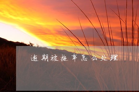 逾期被拖车怎么处理 逾期被拖车怎么处理