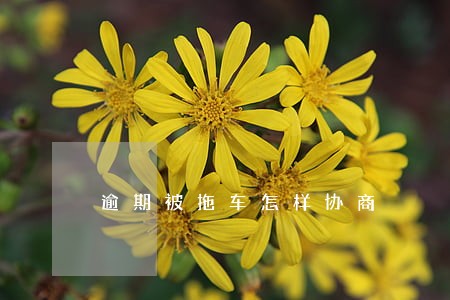 逾期被拖车怎样协商 逾期被拖车怎样协商