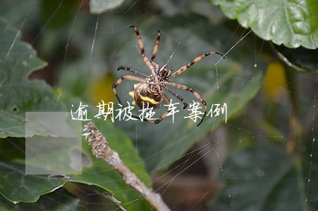 逾期被拖车案例 逾期被拖车案例