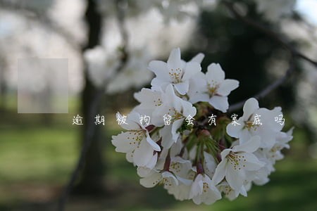 逾期被拘留会有案底吗 逾期被拘留会有案底吗