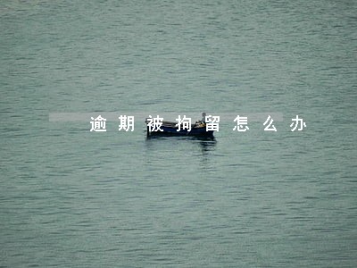 逾期被拘留怎么办 逾期被拘留怎么办