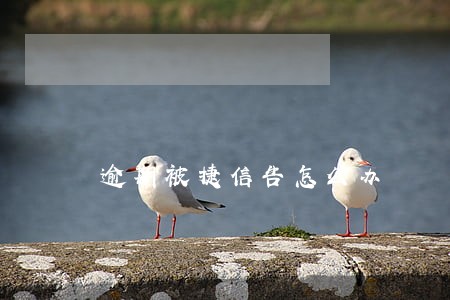 逾期被捷信告怎么办 逾期被捷信告怎么办