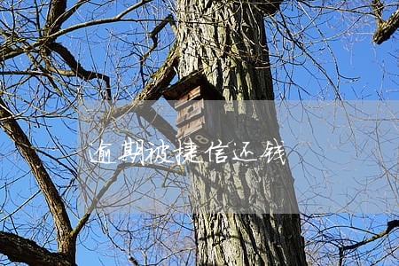 逾期被捷信还钱 逾期被捷信还钱