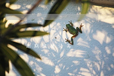 逾期被捷信高 逾期被捷信高