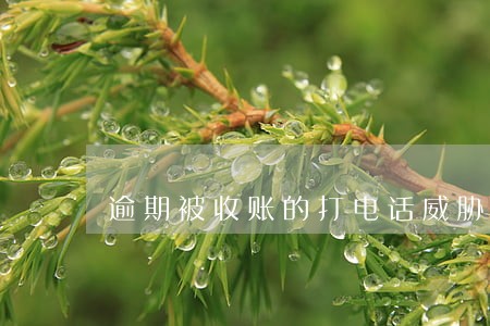 逾期被收账的打电话威胁 逾期被收账的打电话威胁
