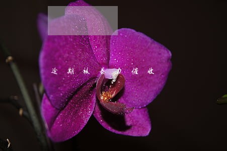 逾期被暴力催收