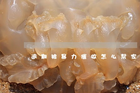 逾期被暴力催收怎么帮家人防护 逾期被暴力催收怎么帮家人防护