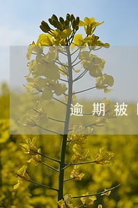 逾期被曝光信息 逾期被曝光信息