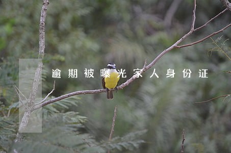 逾期被曝光家人身份证 逾期被曝光家人身份证
