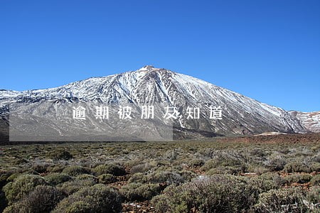 逾期被朋友知道