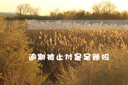 逾期被止付是呆账吗 逾期被止付是呆账吗