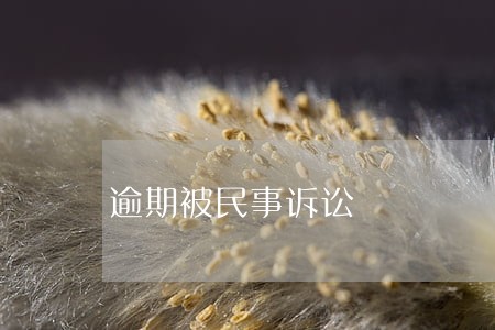 逾期被民事诉讼