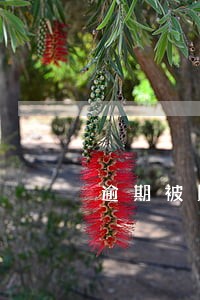 逾期被民事诉讼不还款 逾期被民事诉讼不还款