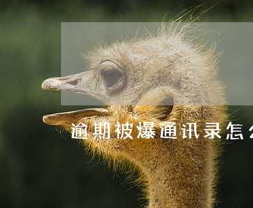 逾期被爆通讯录怎么办2020 逾期被爆通讯录怎么办2020
