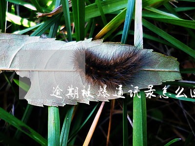 逾期被爆通讯录怎么回答 逾期被爆通讯录怎么回答