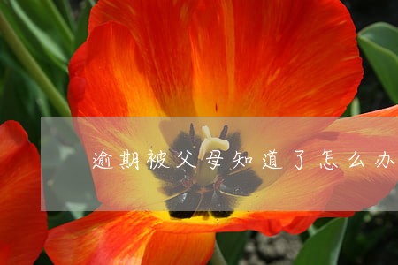 逾期被父母知道了怎么办 逾期被父母知道了怎么办