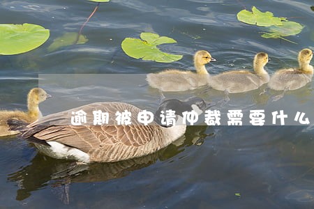 逾期被申请仲裁需要什么资料 逾期被申请仲裁需要什么资料