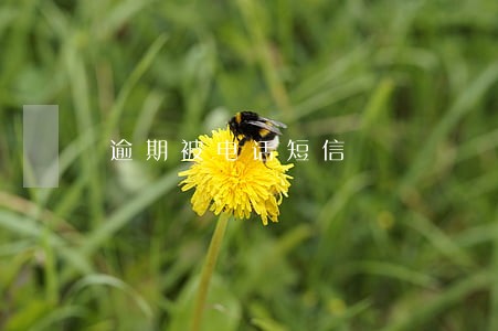 逾期被电话短信 逾期被电话短信