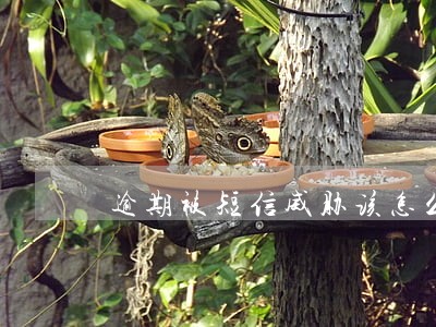 逾期被短信威胁该怎么办 逾期被短信威胁该怎么办