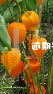 逾期被税务罚款怎么做账 逾期被税务罚款怎么做账