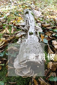 逾期被立案了怎么办 逾期被立案了怎么办