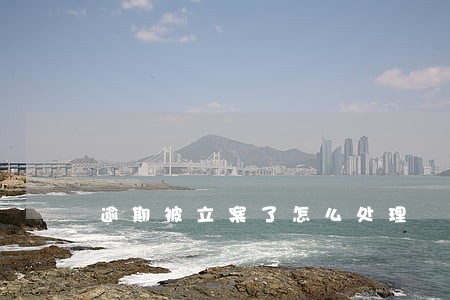 逾期被立案了怎么处理 逾期被立案了怎么处理
