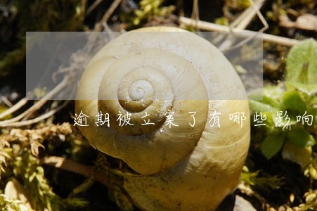 逾期被立案了有哪些影响 逾期被立案了有哪些影响
