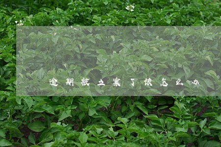 逾期被立案了该怎么办 逾期被立案了该怎么办